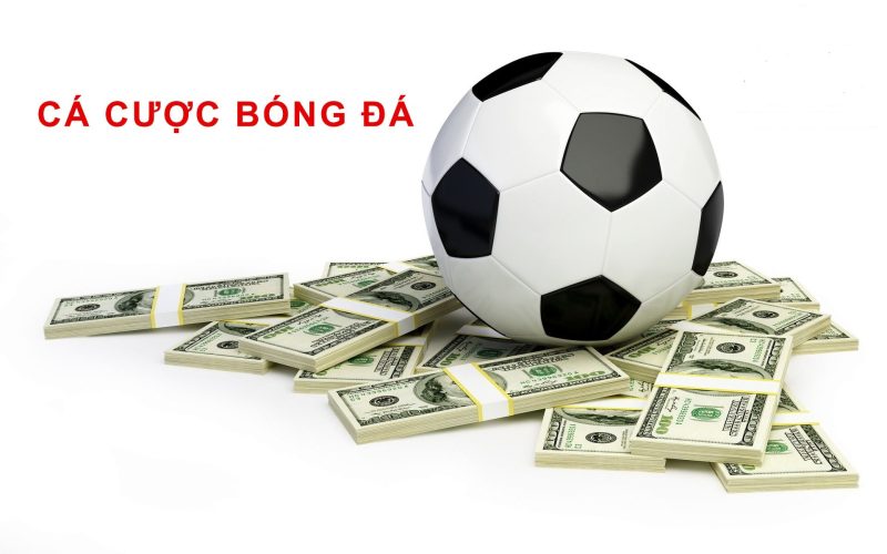 nhà cái HB88