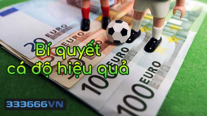 cá cược bóng