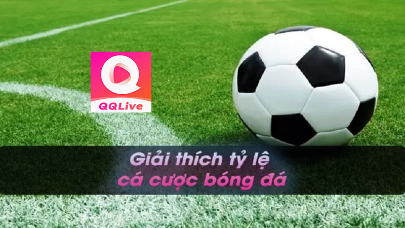 tỷ lệ kèo cược bóng đá QQlive